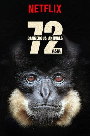 72 animaux dangereux en Asie - Saison 1