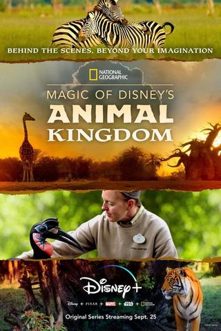 Au cœur de Disney’s Animal Kingdom (Magic of Disney's Animal Kingdom) - Saison 1