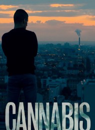 Cannabis - Saison 1