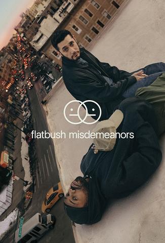 Flatbush Misdemeanors - Saison 1