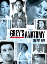 Grey's Anatomy - Saison 2