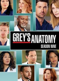 Grey's Anatomy - Saison 9