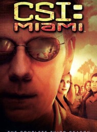 Les Experts : Miami - Saison 3