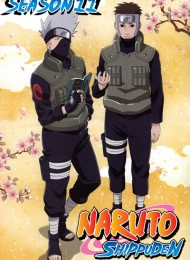 Naruto Shippuden - Saison 11