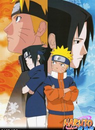 Naruto Shippuden - Saison 9