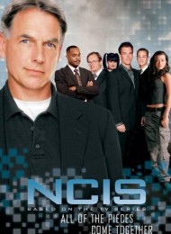 NCIS : Enquêtes spéciales - Saison 14