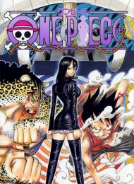 One Piece - Saison 11 (382-407)