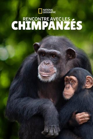 Rencontre avec les chimpanzés (Meet the Chimps) - Saison 1