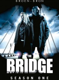 The Bridge (2011) - Saison 1