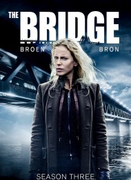 The Bridge (2011) - Saison 3