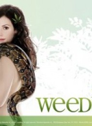 Weeds - Saison 6